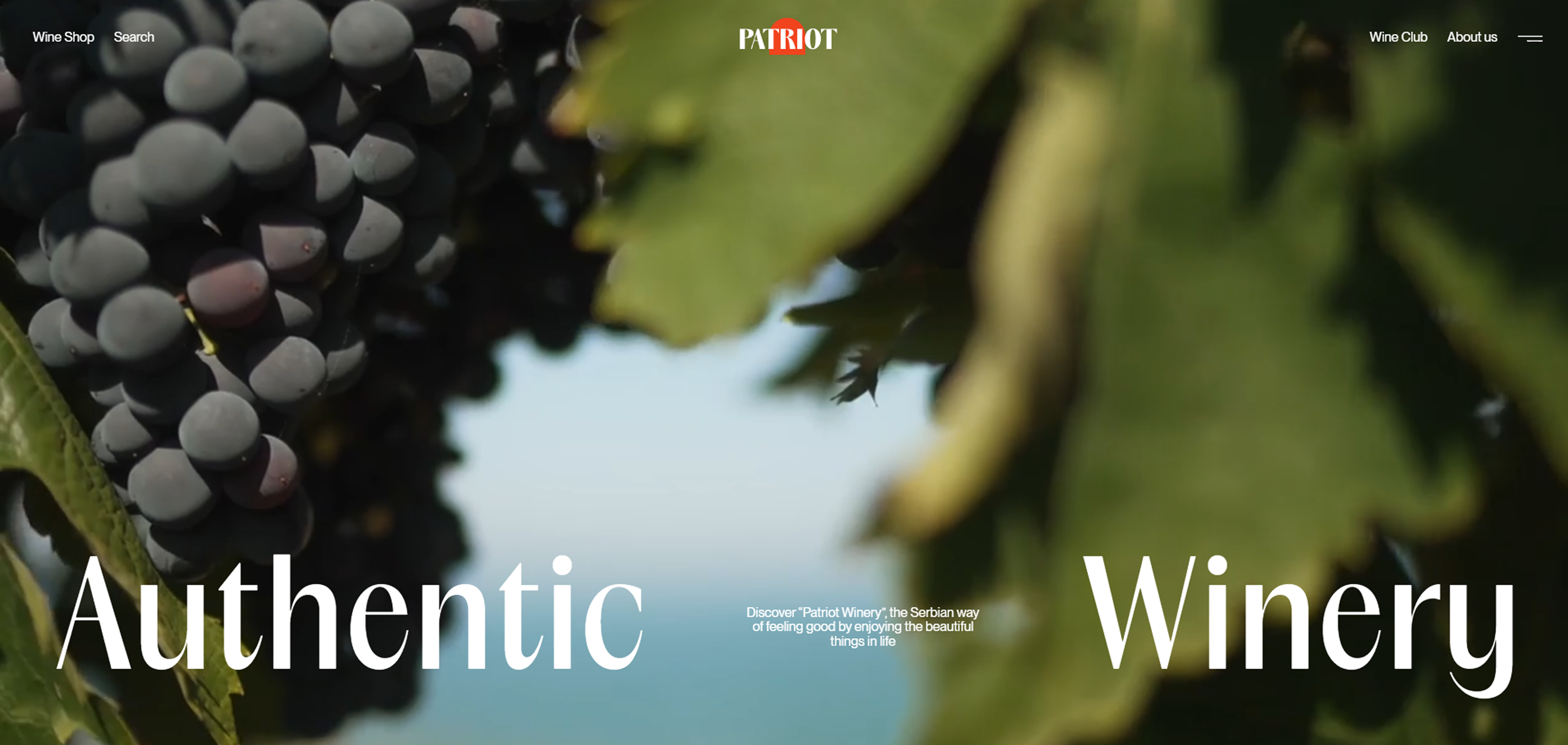 Patriot Winery homepage concept